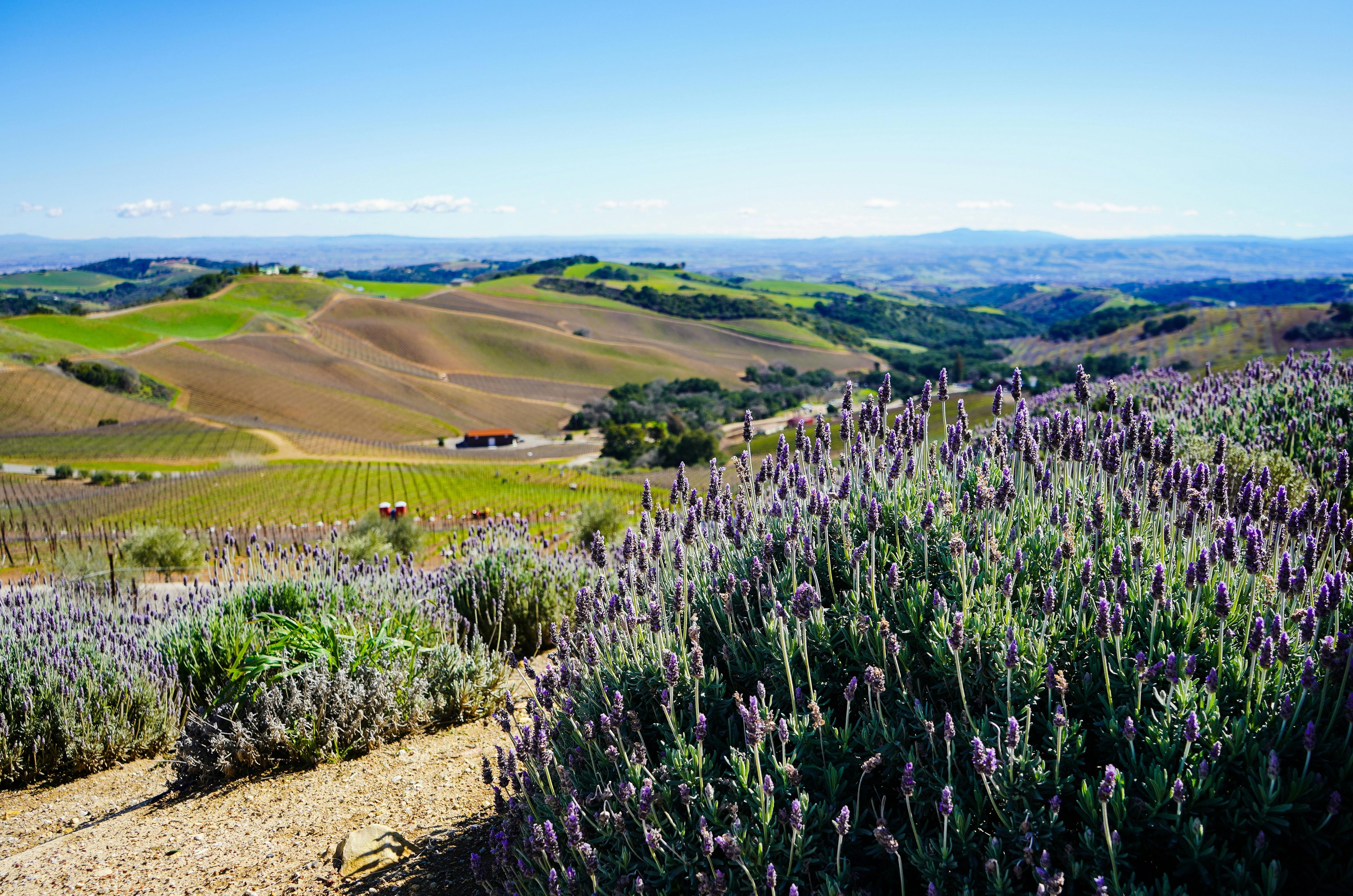 Things To Do In Sonoma, CA - Farmhouse Inn
