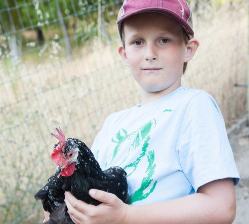 boy holding rooster