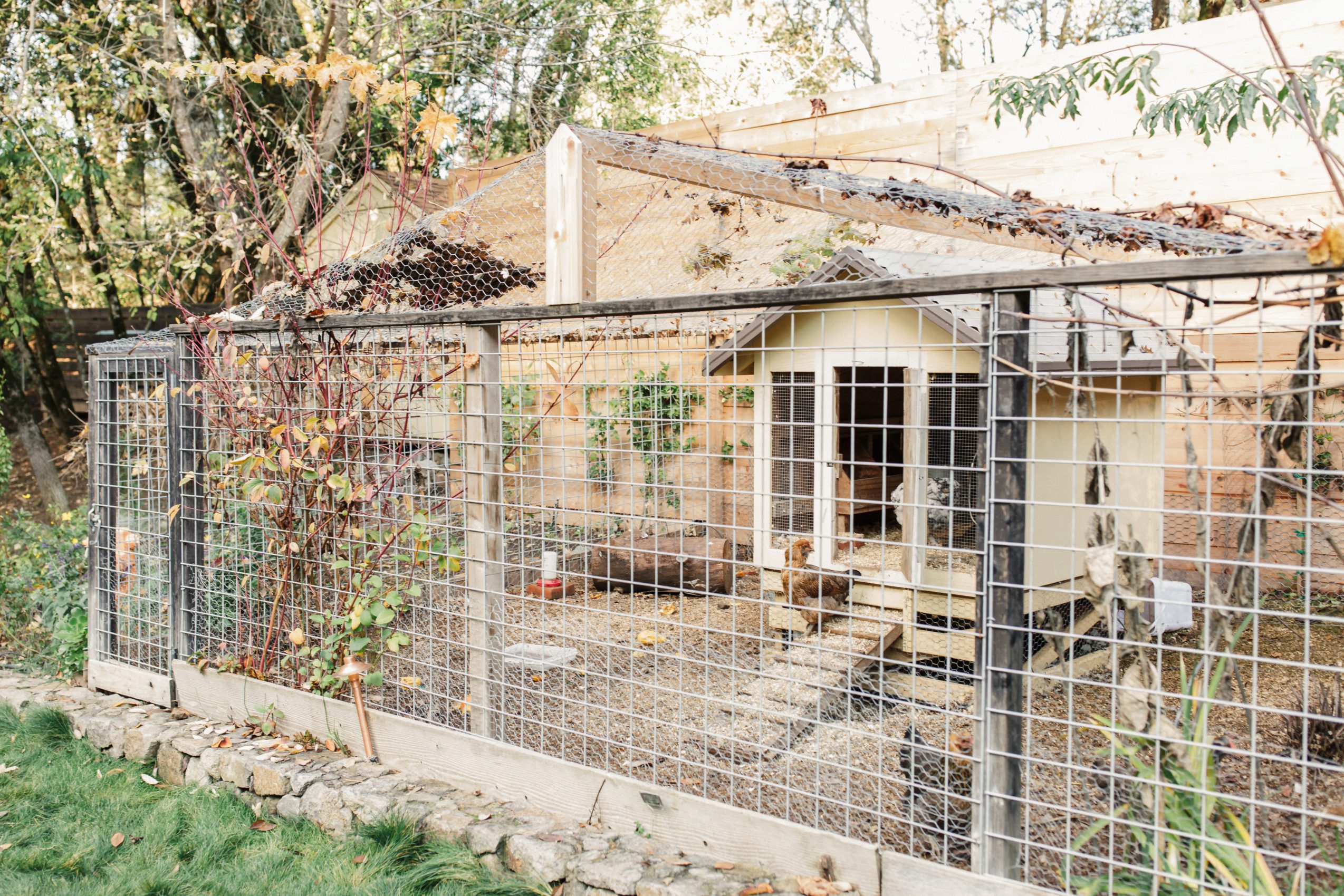 Farmhouse chicken coops
