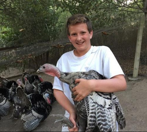 Joe's son holding a turkey