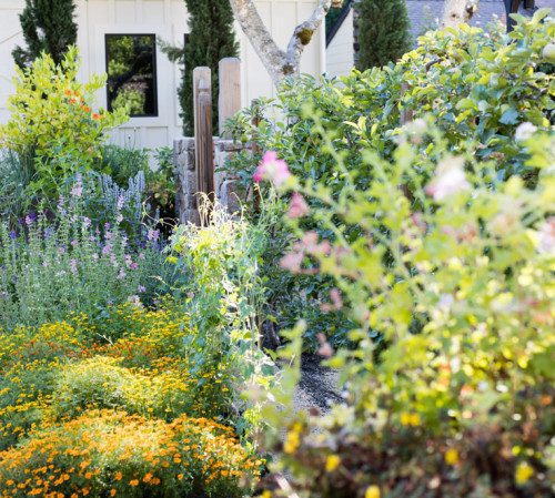 Farmhouse shrubbery and flowers