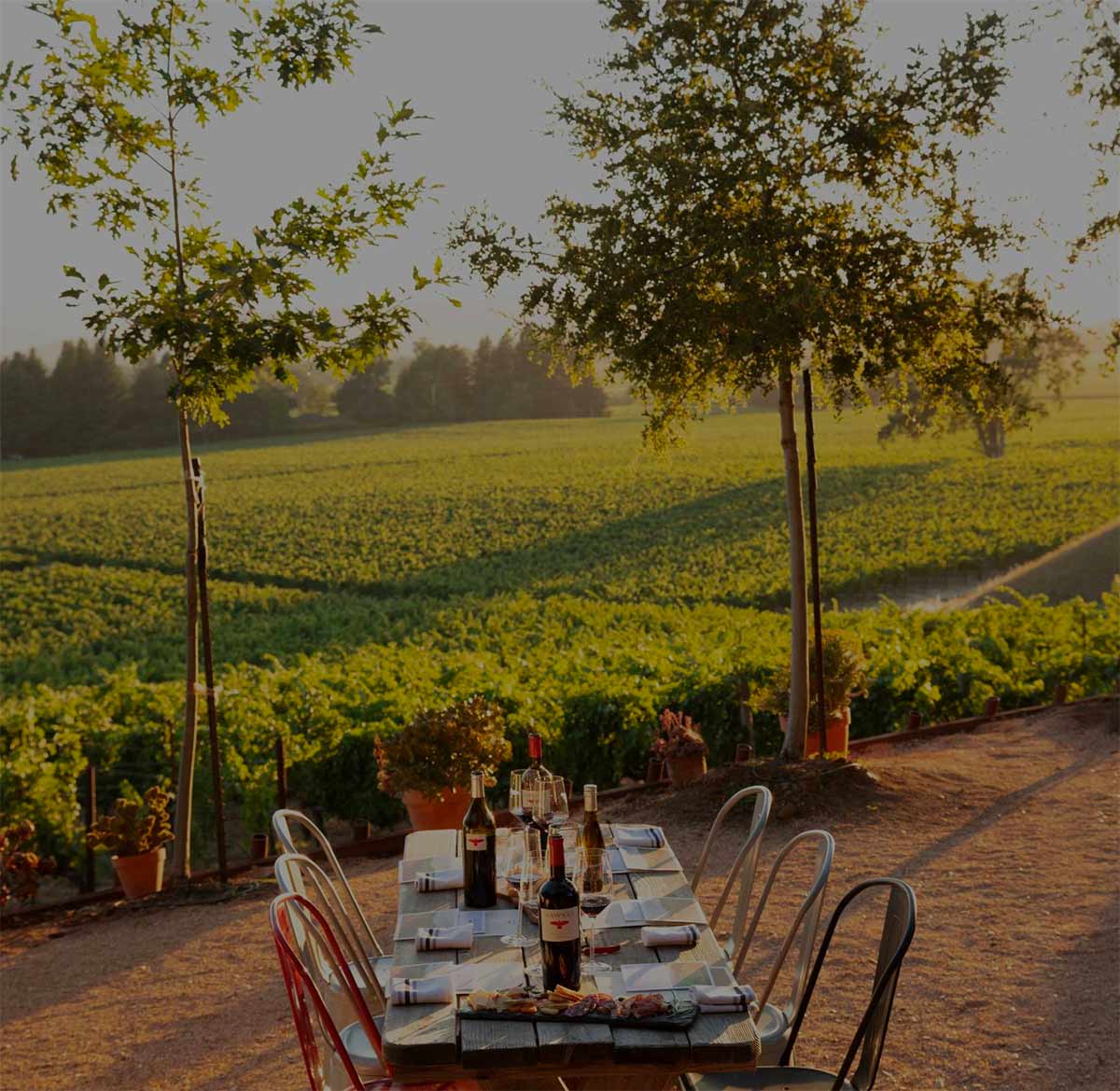 Wood table with six plac settings and wine bottles in front of a grape vineyard