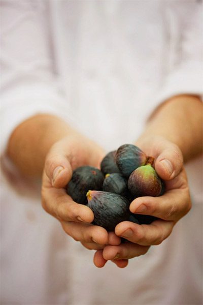 close-up photo of chef holding fresh ingredients for restaurant.
