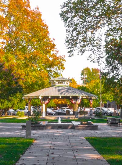 path leading to a gazebo with trees in background