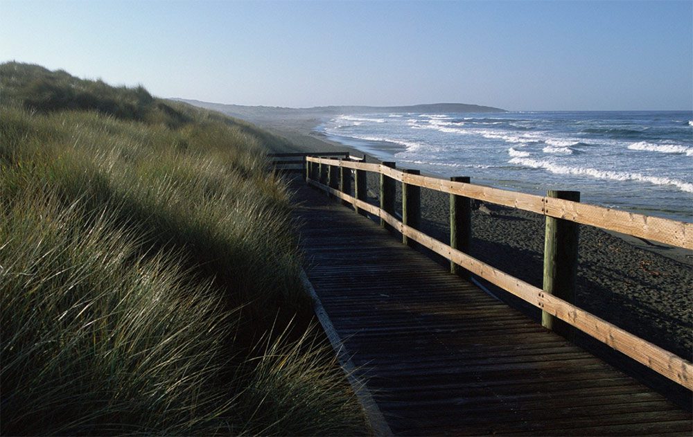 boardwalk next to ocean with brush