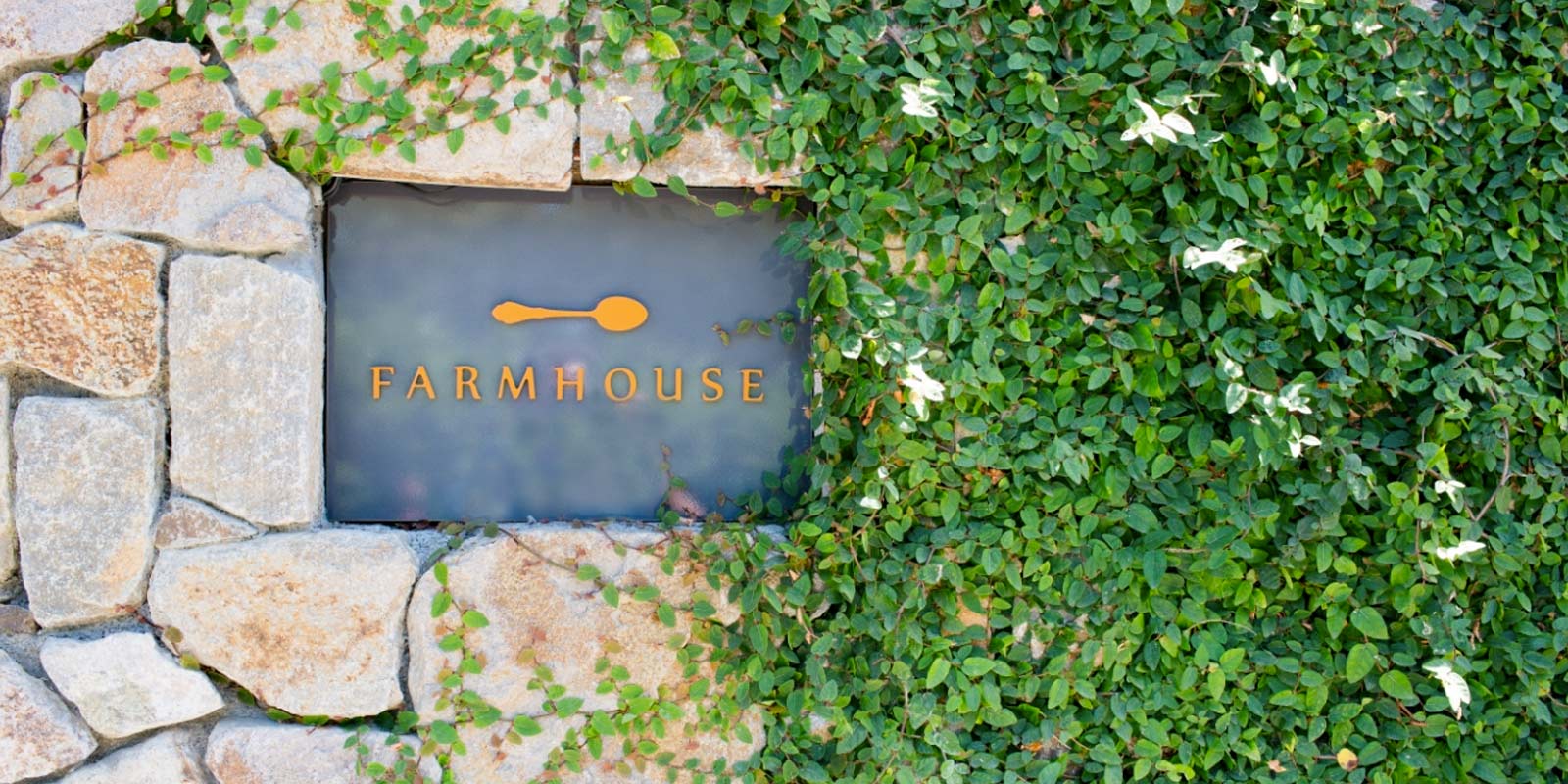farmhouse entrance sign on rock wall with vines