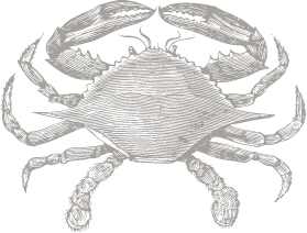 illustration of a crab