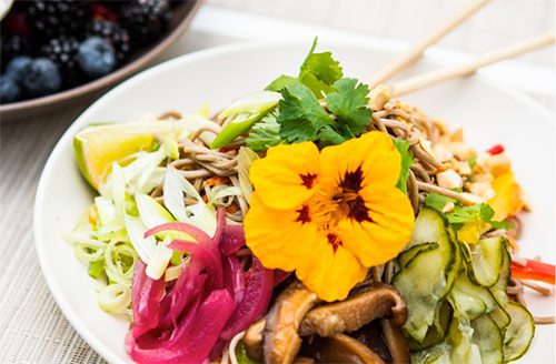 mixed salad with yellow flower garnish