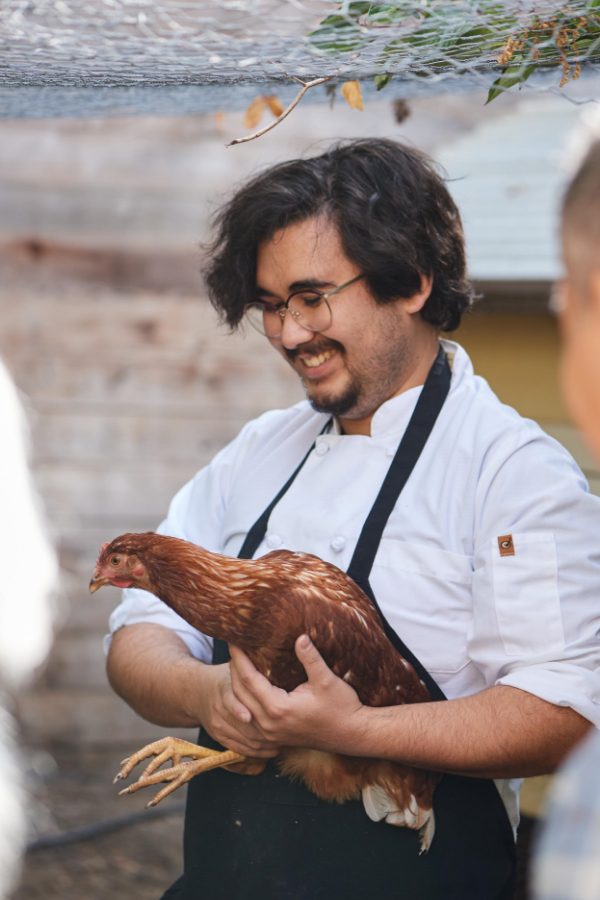 Farmhouse restaurant staff, holding chicken from on property gardens/ livestock