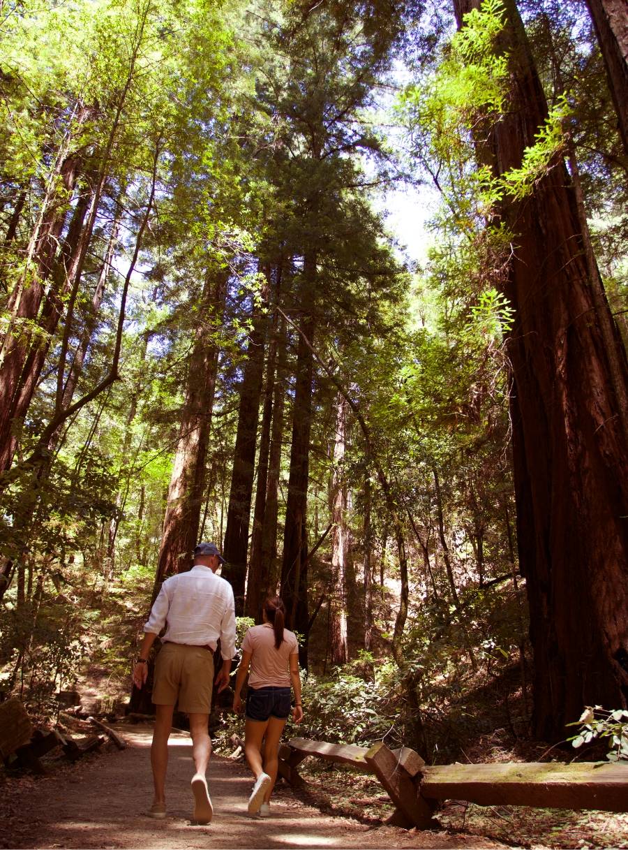 Man and woman walking through forrest with think large trees