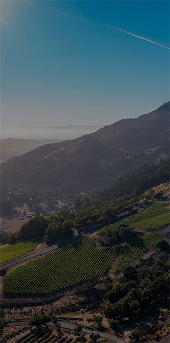 aerial rustic view of Sonoma County with large hill in background and greenery.