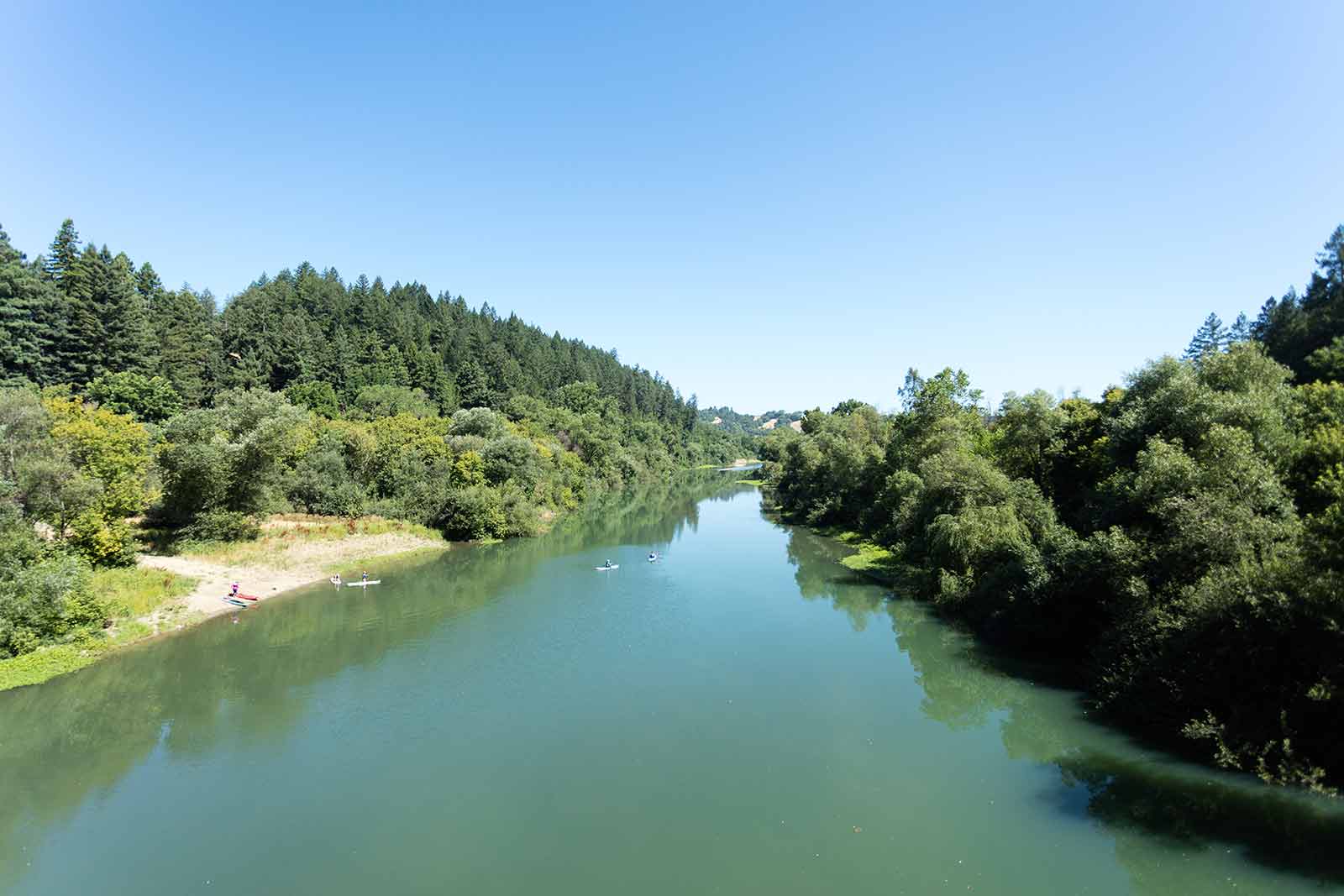 russian river: shot down the dark blue river lined with lush green redwood trees
