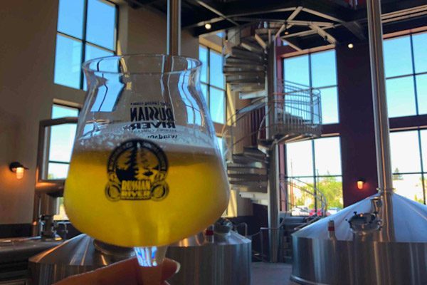 Close-up of a Russian River wide glass half-filled with beer with large glass windows in the background