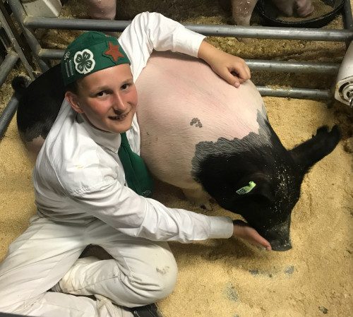 Joe's son sitting with a pig