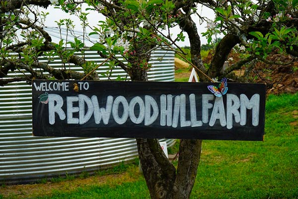 welcome to redwood hill farm sign on tree