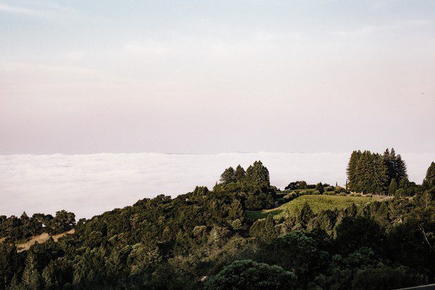 hilltop view of vineyard