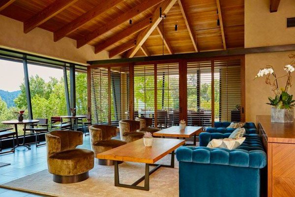 wine tasting room with blue velvet couch and different wood chairs