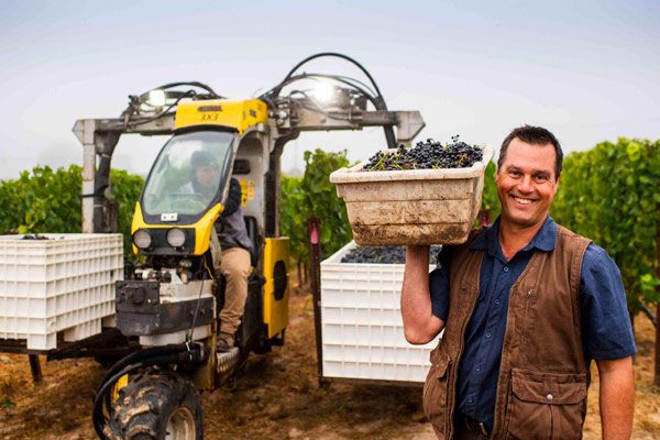 man next to large machine holding large bucket of grapes outside of vineyard