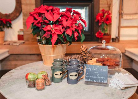 Table with potted red flowers, six gray coffee cups with Farmhouse logos, platter of cookies: apple cider and ginger snaps.