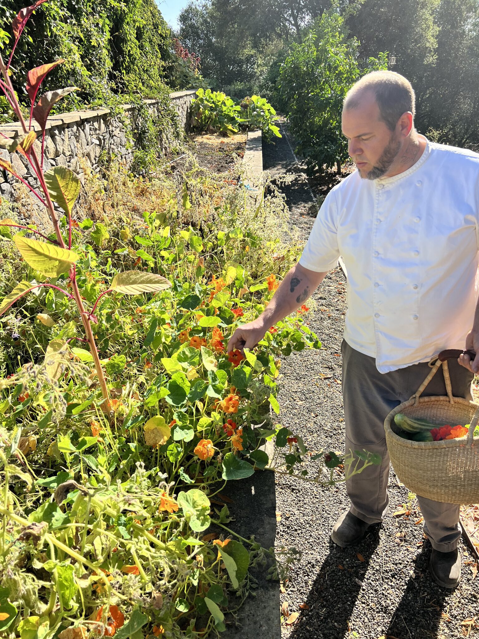 Chef Trevor in the garden